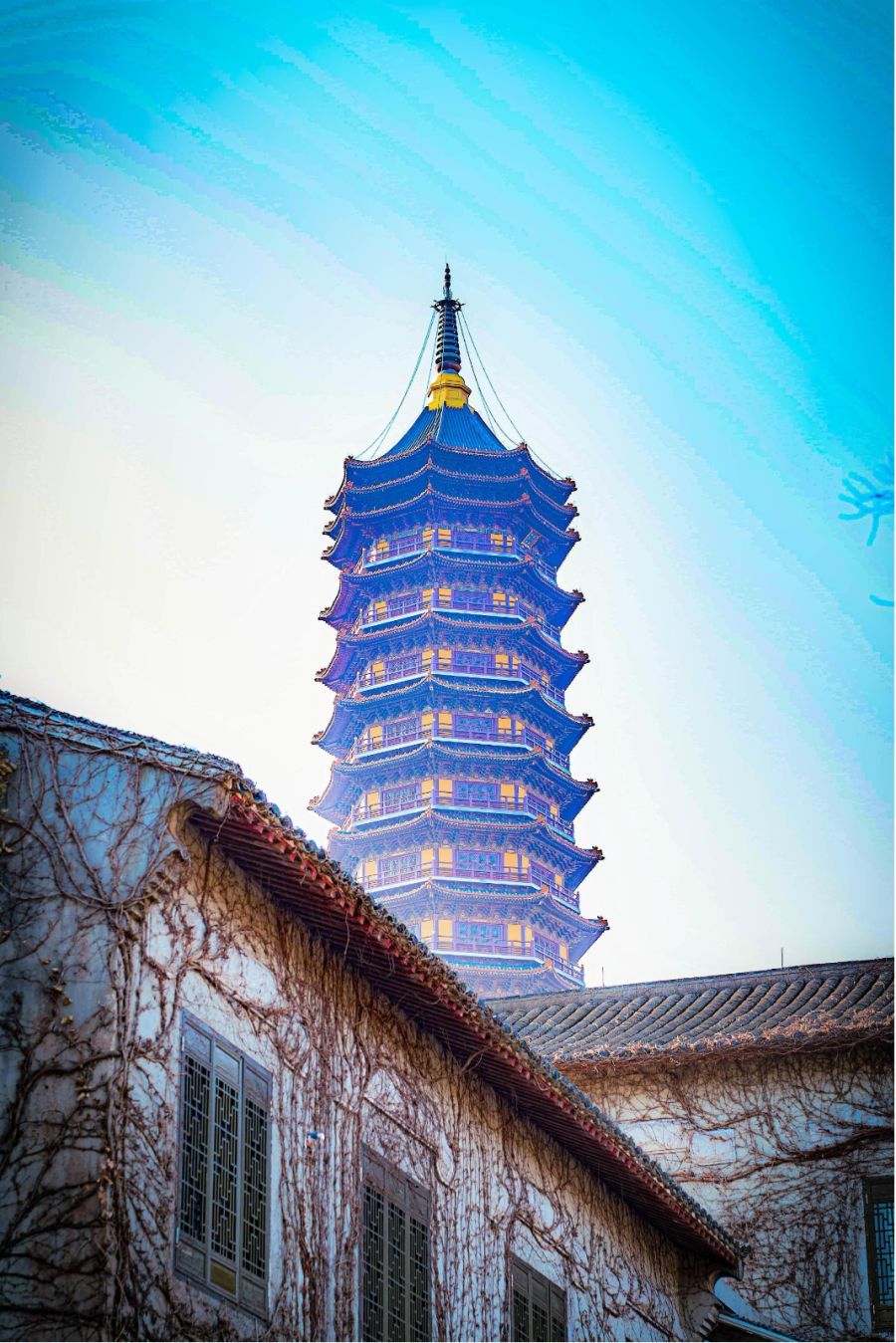 20250117-普陀山团建 (17).jpg
